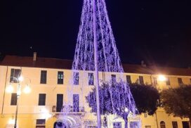 L'albero della piazza"